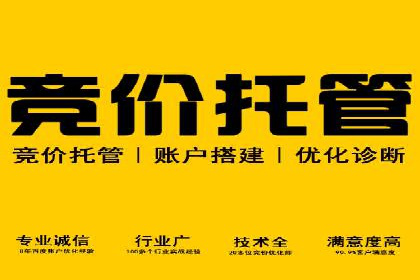 某某sem推广公司案例揭秘：如何精准定位目标用户群体